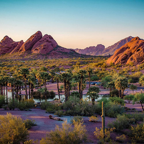 Phoenix, AZ - Desert
