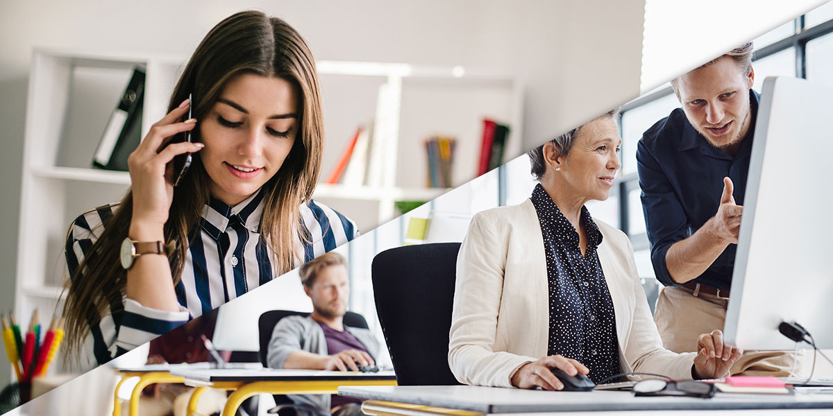 freelance developer vs wordpress agency